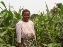 Kunstmest voor Mbewa village
